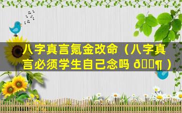 八字真言氪金改命（八字真言必须学生自己念吗 🐶 ）